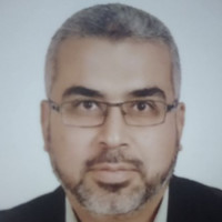 Mohamed Elshafei
