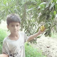 Mohd Yusif