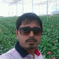 Yogesh Patel