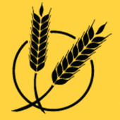 BrewingWork - Careers in the Brewing Industry