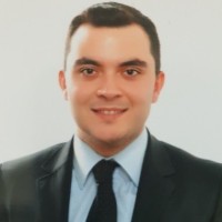 Efe Sargın