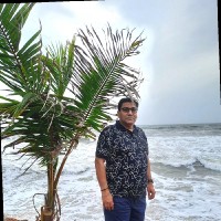 Dinesh K Chauhan