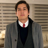 Felipe Andres Alvarez Carvajal