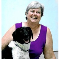 Katherine Rollins