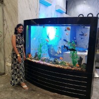 Rashmi Singh