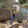 Rohit Kumar