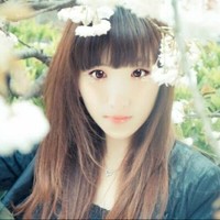 宋丽文