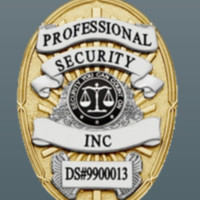 Professional Security Inc.