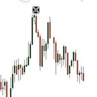 Judy Trading