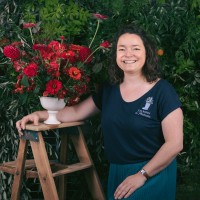 Tiphaine Turluche 🌺