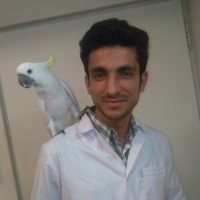 M Amiri