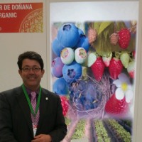 Juan María Rodríguez Borrero