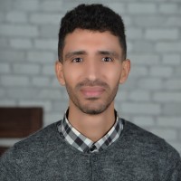 Chedly Majouli