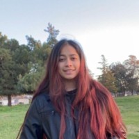 Michell Diaz-Flores