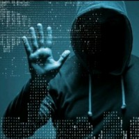 Guillaume Genot-boscato