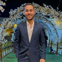 kareem mohsen