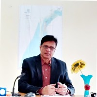 Udayan Roy
