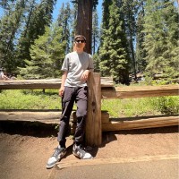 Ming Lee
