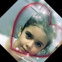 مرتضی شیخی