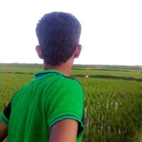 Basava Srg