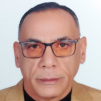 Mohamed Adly