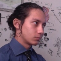 Renato N. Martins