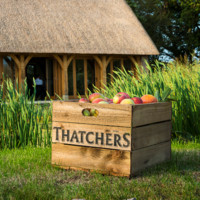 Jobs Thatchers Cider