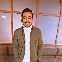 Amr Mohamed