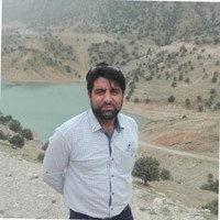 moJtaba ansari