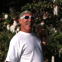 Mark Mazzarella