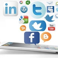 Sandy Yani Chinchilla