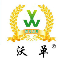 付文涛