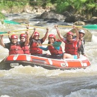 Badiaman sinaga