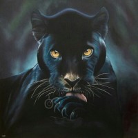Prabhu S