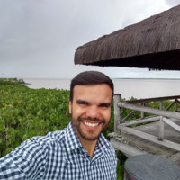 Flavio Henrique Dos Anjos