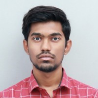 V Vinesh