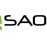 SAO Software para la Administración  de Obras, ERP Sector Construcción.
