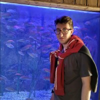 Armands Polovnikovs