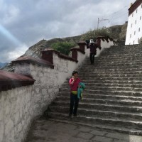邹海霞