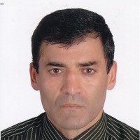 Gürsel Seyit Güler, Ph.D.