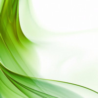 Marcelino Santana Flores