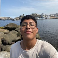 Larry A. Flores R.