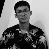 Manh Dung Nguyen