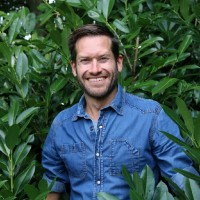 Steef Maarsen