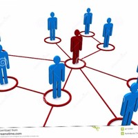 Global Market Nexus Consulting