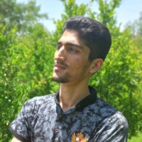 Mohammad H. mansouri