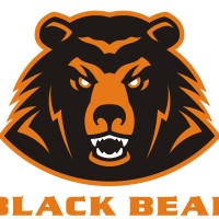 Black Bear Tires
