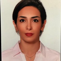Mahsa Sattari