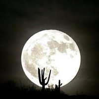 Moon 555