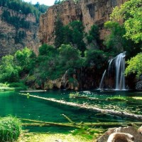 edgar fernando aviles vera